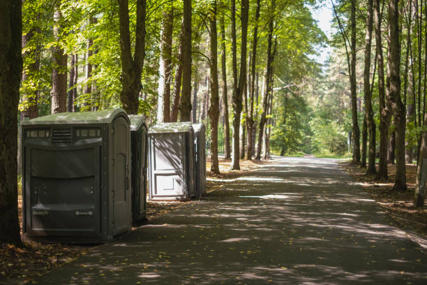 Best Luxury portable toilet rental  in Madison Heights, VA